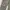 carhartt mosh green painted photo 3
