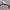 Rayban Wayfarer Classic Brown Glossy photo 6