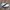 VANS Emo Casual Casual Shoe Pria White Black