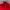 Fairy Indie Skirt Wanita red photo 3