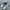 Asics Streetwear Sportswear Sneakers Pria white gray photo 1