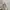 Jaket windbreaker casual semi parka belstaff photo 5