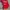 Shein Streetwear Casual Hoody Wanita red photo 2