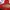 Shein Streetwear Casual Hoody Wanita red photo 4