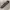 Y2K grunge emo goth leopard pattern belts photo 7