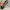 Y2K grunge emo goth leopard pattern belts photo 9