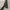 Y2K grunge emo goth leopard pattern belts photo 4