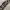 Y2K grunge emo goth leopard pattern belts photo 8