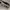 Y2K grunge goth snake pattern belts photo 2