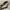 Y2K grunge goth snake pattern belts photo 8