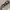Y2K grunge goth snake pattern belts photo 5