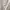 Japanese brand Vintage Y2K Denim jacket Pria cream photo 4