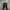 Dickies Longpants