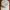 Topi Vintage Rope Hat Golden Harvest photo 7