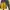 Casual Wanita yellow photo 1