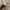 dior addict ori shade 418 beige oblique photo 3
