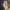 Nike Streetwear Sportswear Sneakers Pria gold photo 2