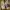 Nike Streetwear Sportswear Sneakers Pria Gold