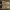 Nike Streetwear Sportswear Sneakers Pria gold photo 3