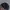 Dunlop Luxury Sportswear Hat Pria navy photo 2