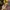 Louis Vuitton Luxury Minimalist Bags & purse Wanita tan brown photo 3