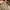 Louis Vuitton Luxury Minimalist Bags & purse Wanita tan brown photo 5