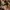 Louis Vuitton Luxury Minimalist Bags & purse Wanita tan brown photo 4
