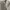 Pull over sweater abu body fit  photo 3