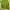 Y2K Crop Top Wanita Green