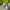 Y2K Crop top Wanita green photo 4