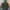 Mountain Parka Army Loks photo 6