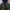 Mountain Parka Army Loks