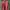 MCD Japan Pink Ribbed Embroidered Surfwear Made In Japan