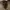 LV Nano Speedy  photo 5