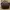 Tas Briefcase Bally Brown Leather Original