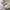 Nike Casual Sneakers Pria multicolor photo 7