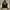 Polo Ralph Lauren Vintage Harrington jacket Pria white green photo 5
