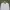 Number Nine Streetwear Avant Garde T-shirt Pria white photo 2