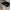 Suicoke Minimalist Sandals & slide Pria black photo 5