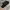 Suicoke Minimalist Sandals & slide Pria black photo 3