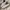 Converse Casual Sneakers Pria white black photo 1