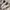 Converse Casual Sneakers Pria White Black