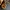 Longchamp cuir crossbody limited edition photo 6