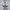 Adidas Sportswear Casual Sweatshirt Pria gray photo 2