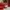 Longchamp cuir nano/micro photo 3