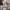 8seconds Casual T-shirt Pria cream photo 4