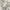 Adidas Casual Sneakers Pria cream photo 1