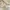 Adidas Casual Sneakers Pria cream photo 7