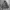 Columbia Yucca Peak, Columbia Parka, Columbia Canvas photo 5