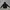 CP Company Google Zip Hoodie